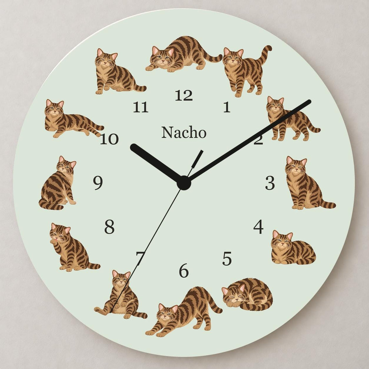 Personalized American Wirehair Cat wooden wall clock with example name Nacho; close up