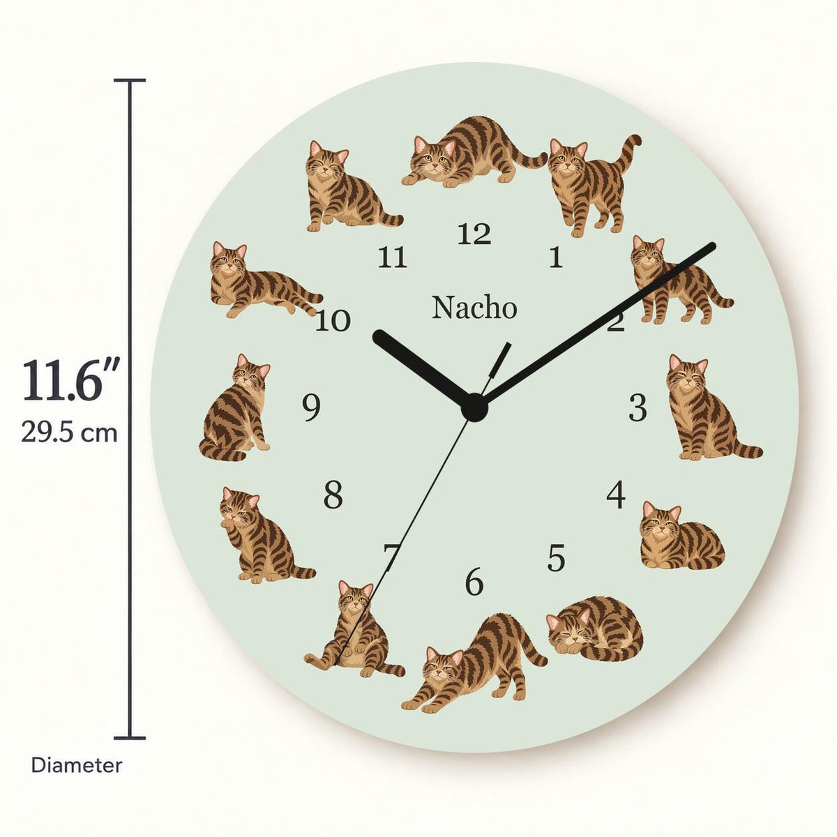 Personalized American Wirehair Cat wooden wall clock with example name Nacho; size
