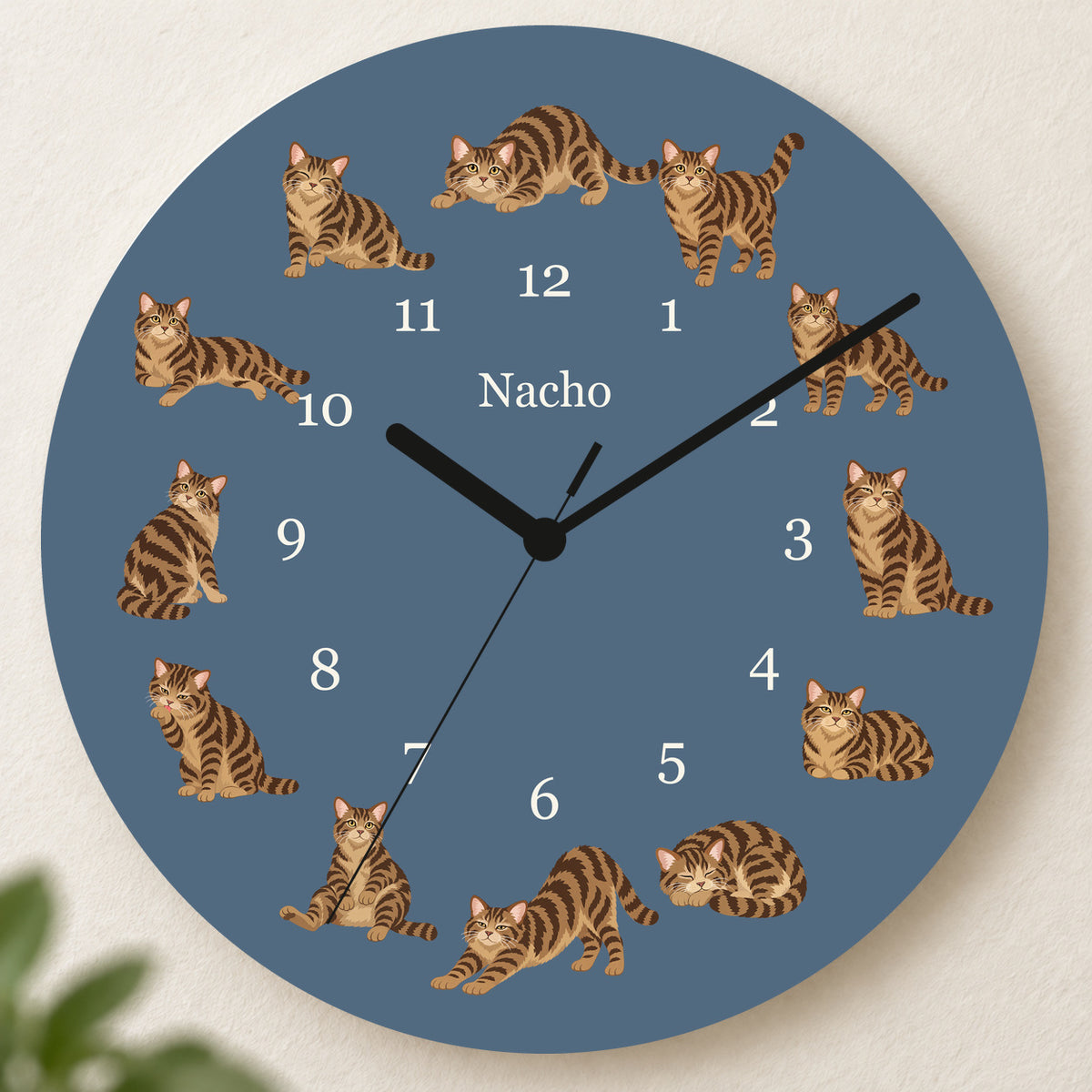 Personalized American Wirehair Cat Wall Clock, Custom Pet Name, 11.6 Inch Wooden Clock — Muted Denim background