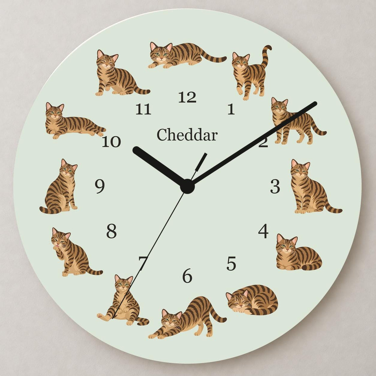 Personalized Domestic Shorthair Cat wooden wall clock with example name Cheddar; close up
