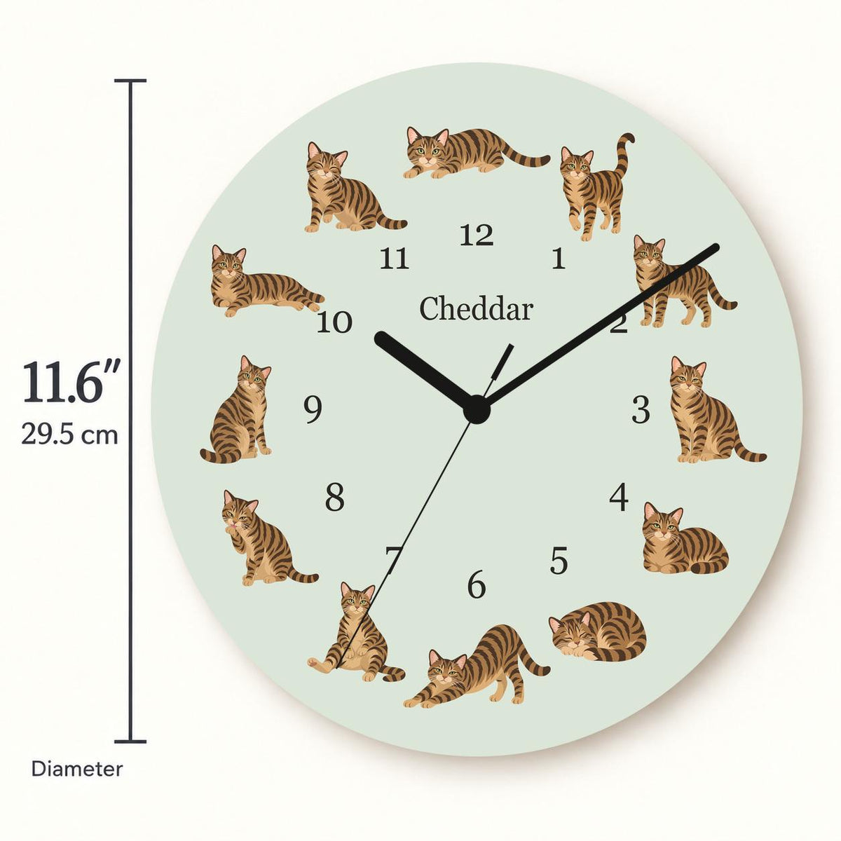 Personalized Domestic Shorthair Cat wooden wall clock with example name Cheddar; size
