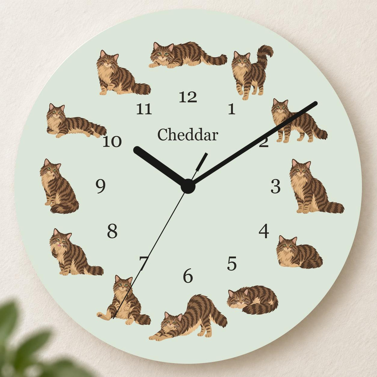 Personalized Domestic Longhair Cat wooden wall clock with example name Cheddar; hero