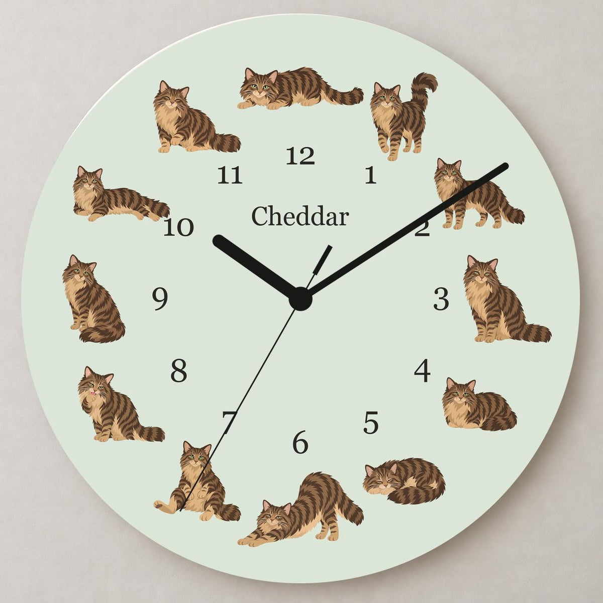 Personalized Domestic Longhair Cat wooden wall clock with example name Cheddar; close up