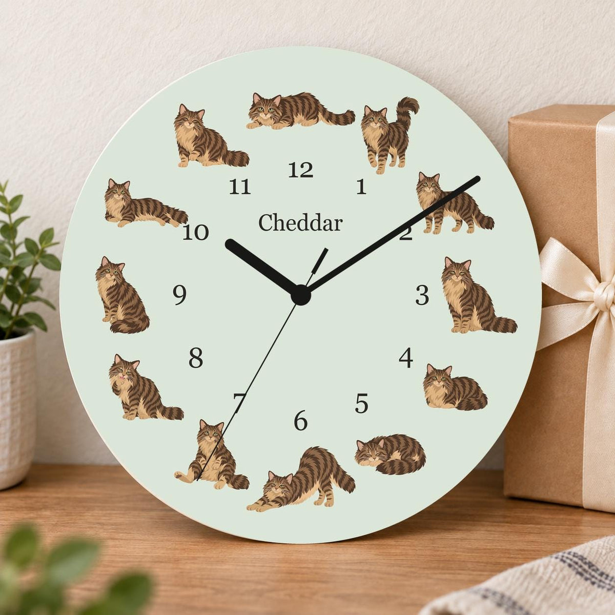 Personalized Domestic Longhair Cat wooden wall clock with example name Cheddar; gift