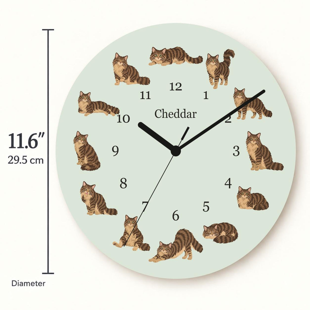 Personalized Domestic Longhair Cat wooden wall clock with example name Cheddar; size