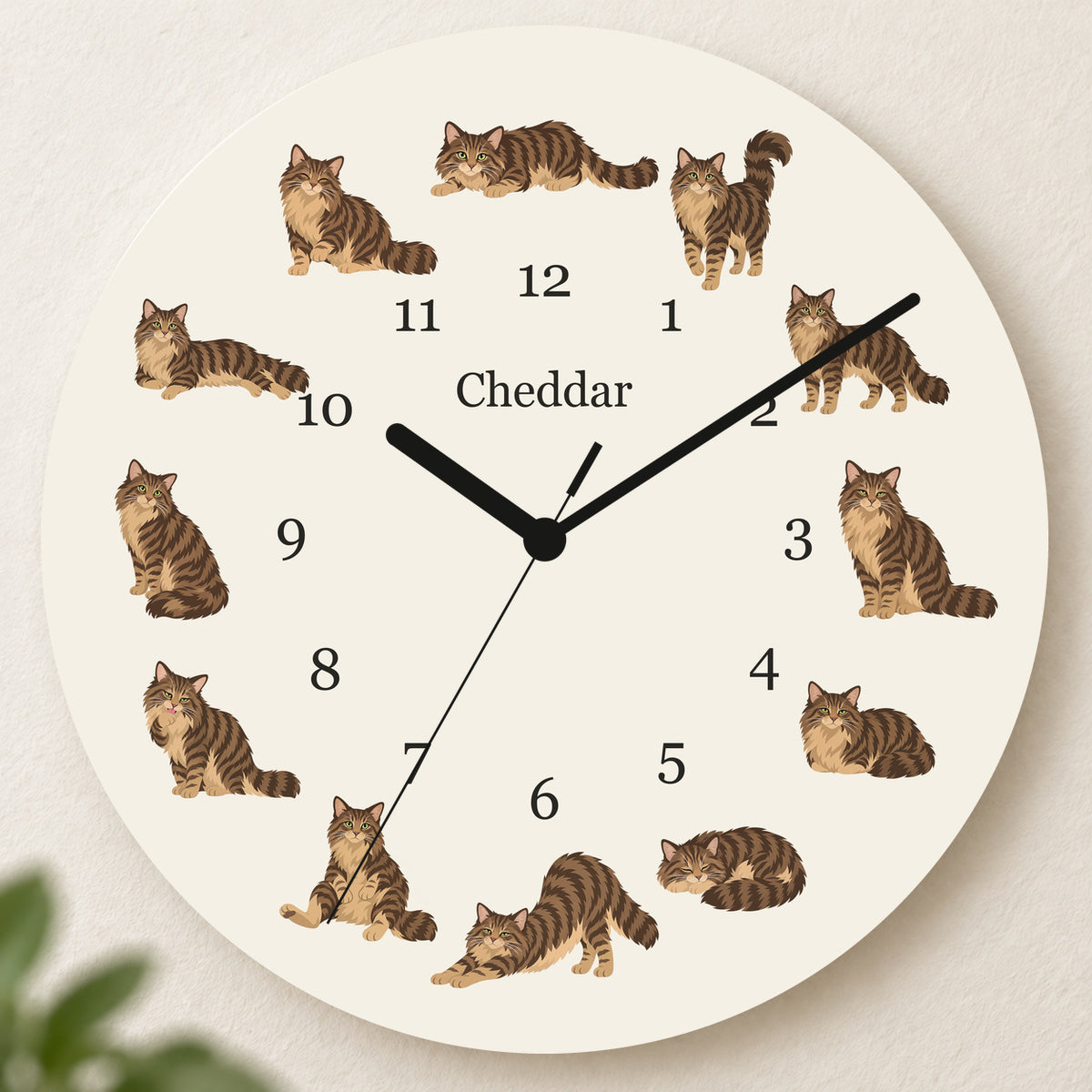 Personalized Domestic Longhair Cat Wall Clock, Custom Pet Name, 11.6 Inch Wooden Clock — Warm Ivory background