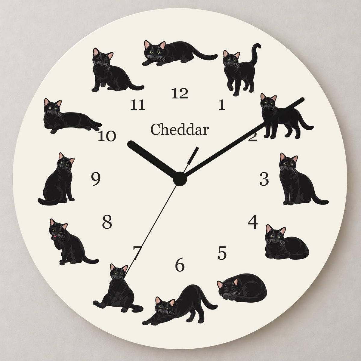 Personalized Domestic Shorthair Cat wooden wall clock with example name Cheddar; close up
