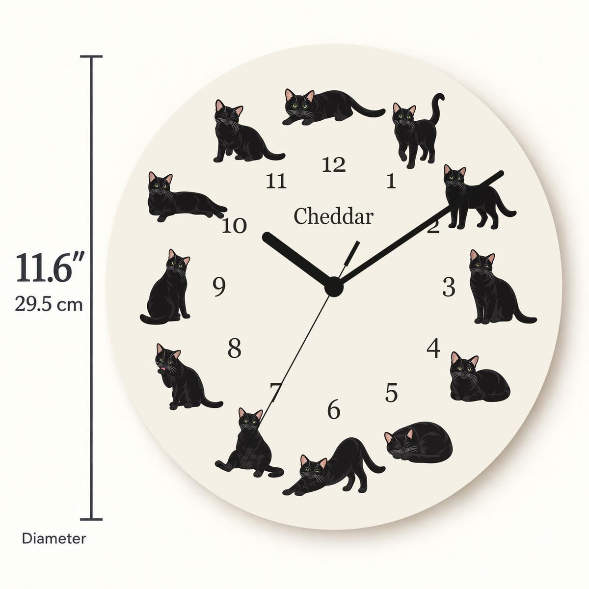 Personalized Domestic Shorthair Cat wooden wall clock with example name Cheddar; size