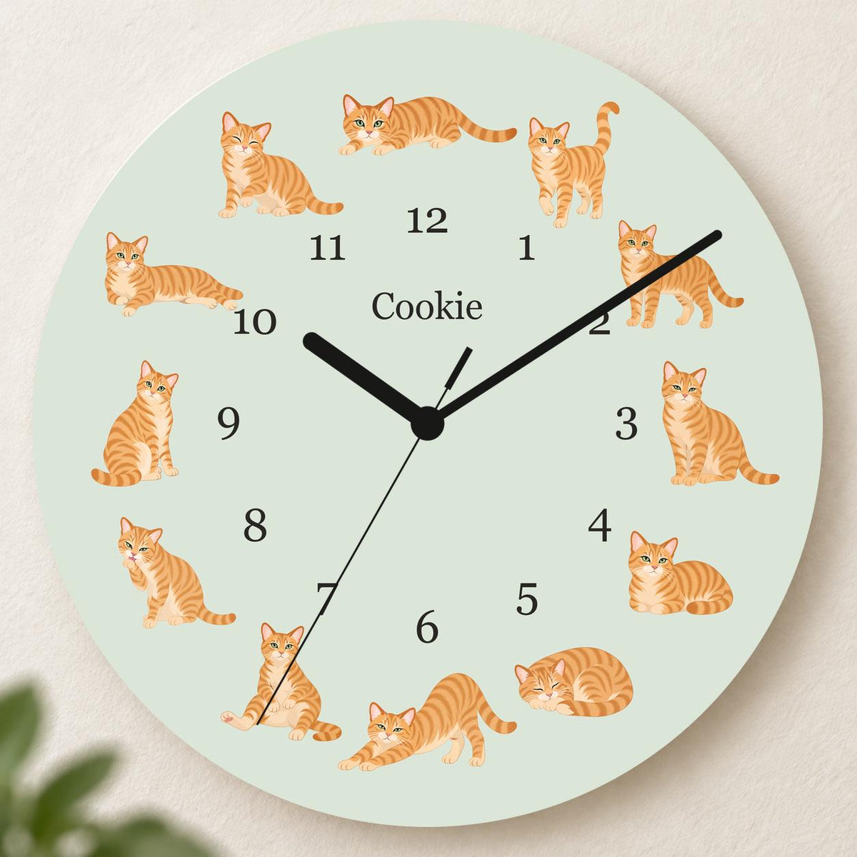 Personalized Domestic Shorthair Cat wooden wall clock with example name Cookie; hero