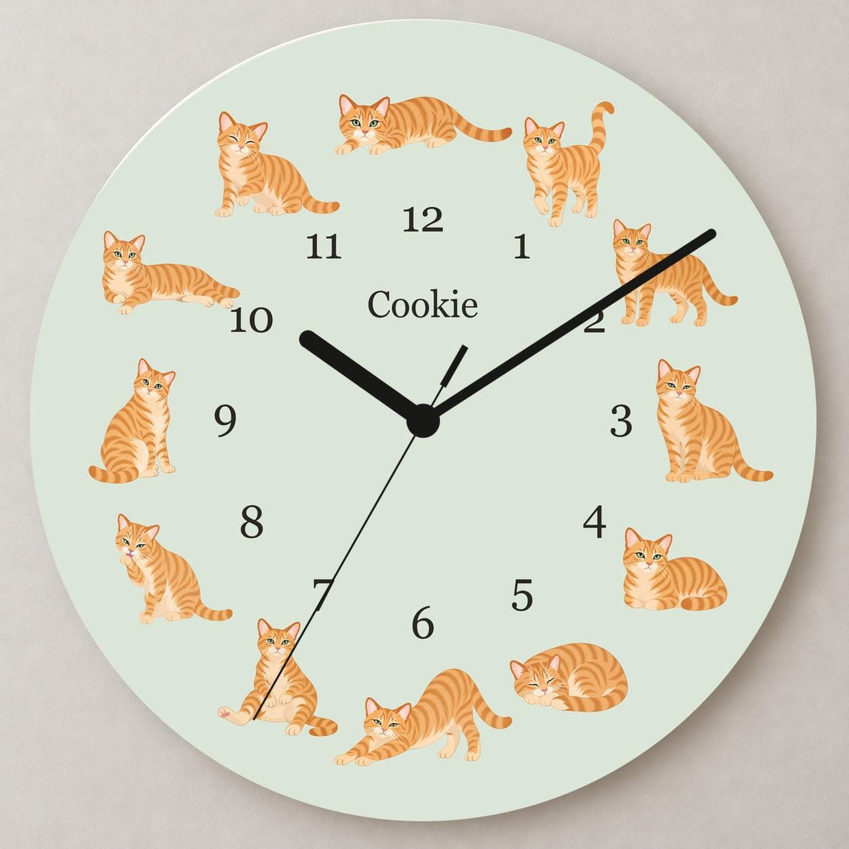 Personalized Domestic Shorthair Cat wooden wall clock with example name Cookie; close up