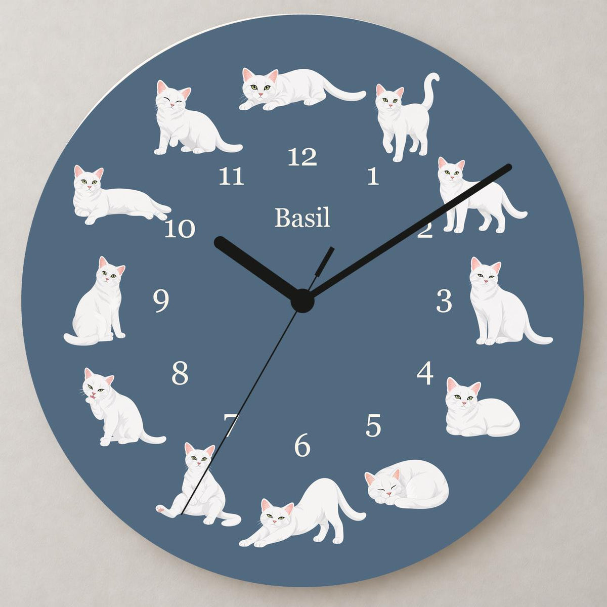Personalized Domestic Shorthair Cat wooden wall clock with example name Basil; close up