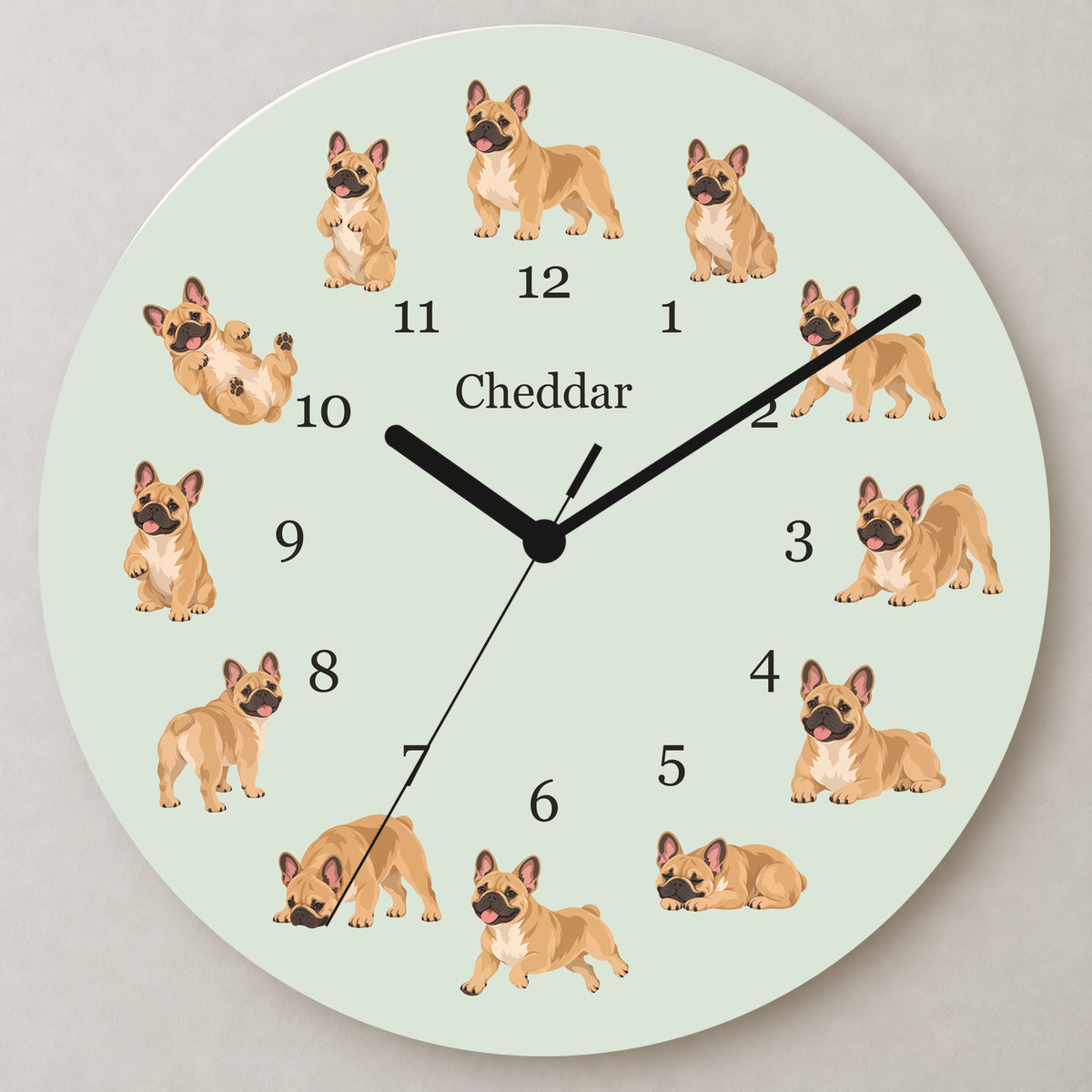 Personalized French Bulldog wooden wall clock with example name Cheddar; close up