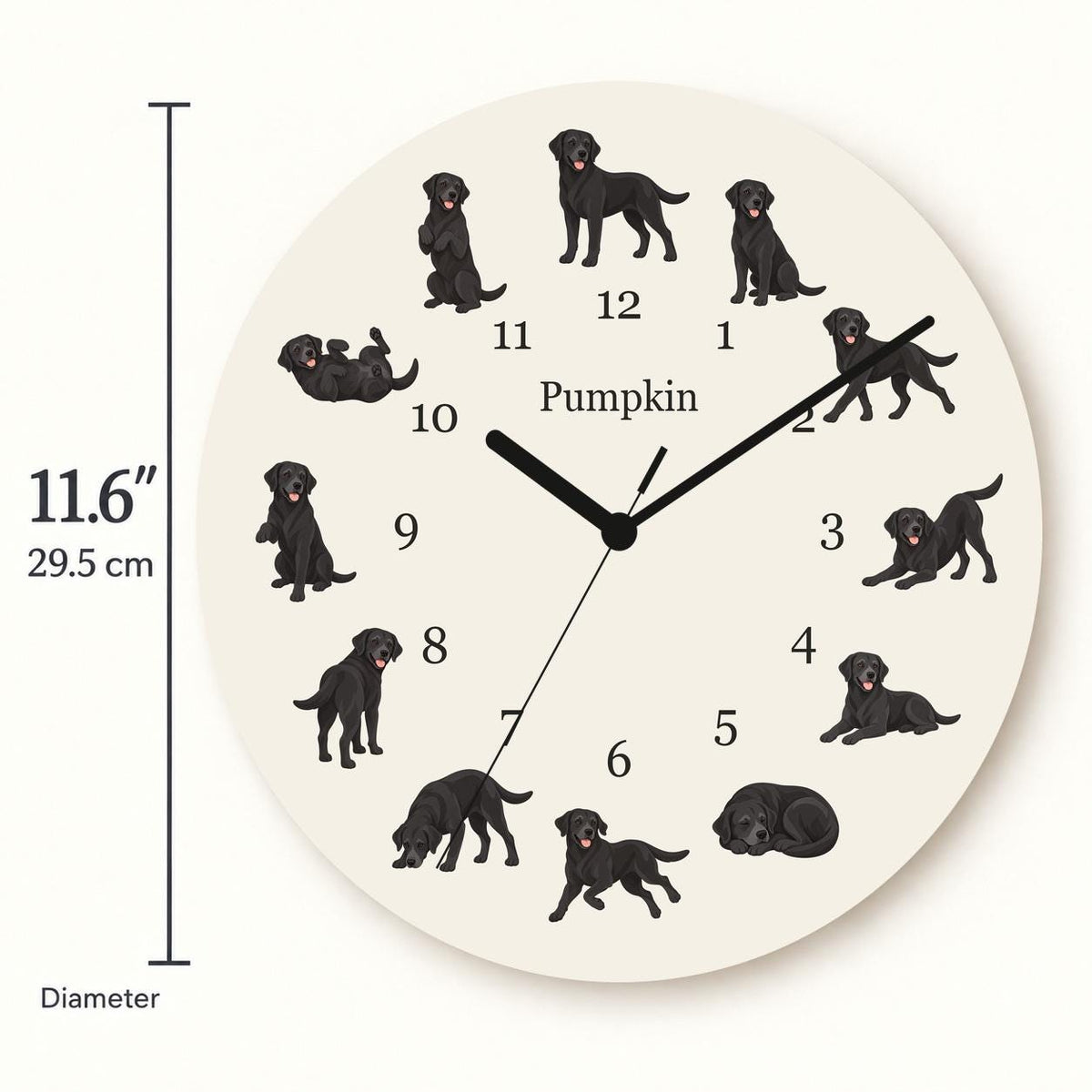 Personalized Labrador Retriever wooden wall clock with example name Pumpkin; size