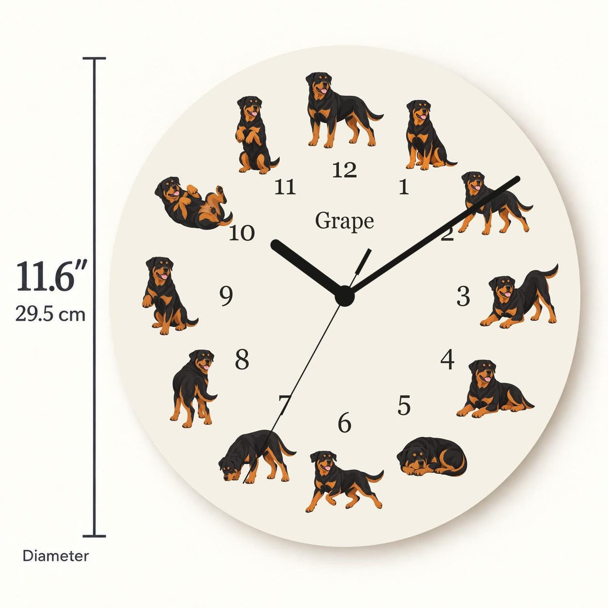 Personalized Rottweiler wooden wall clock with example name Grape; size