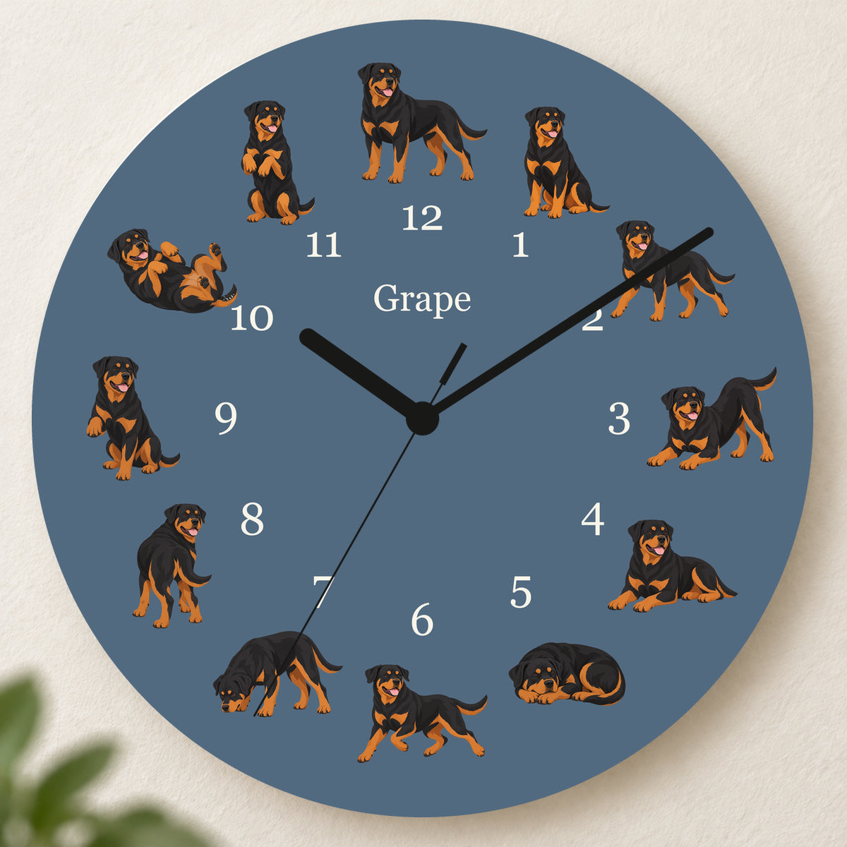 Personalized Rottweiler Wall Clock, Custom Pet Name, 11.6 Inch Wooden Clock — Muted Denim background