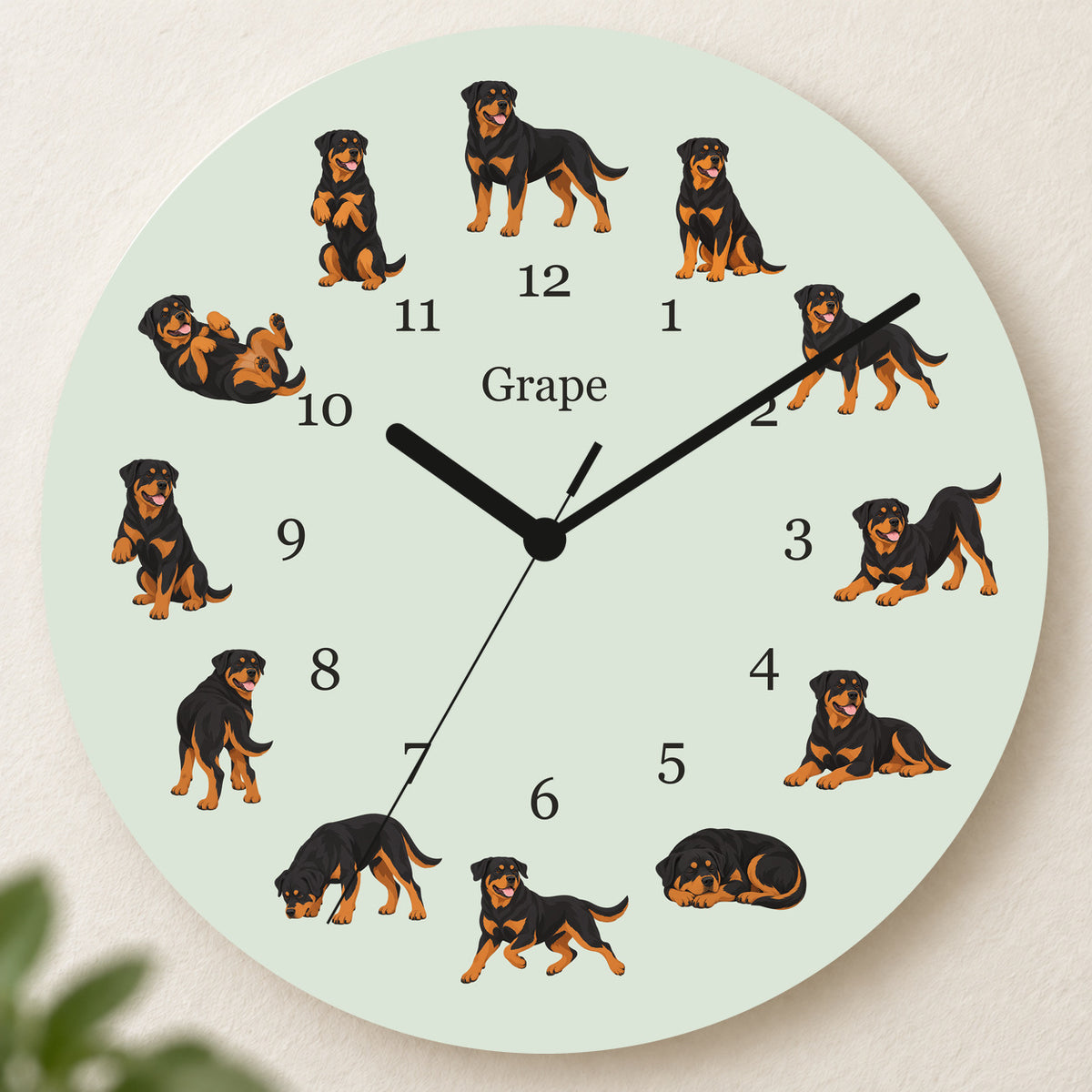 Personalized Rottweiler Wall Clock, Custom Pet Name, 11.6 Inch Wooden Clock — Pale Sage background