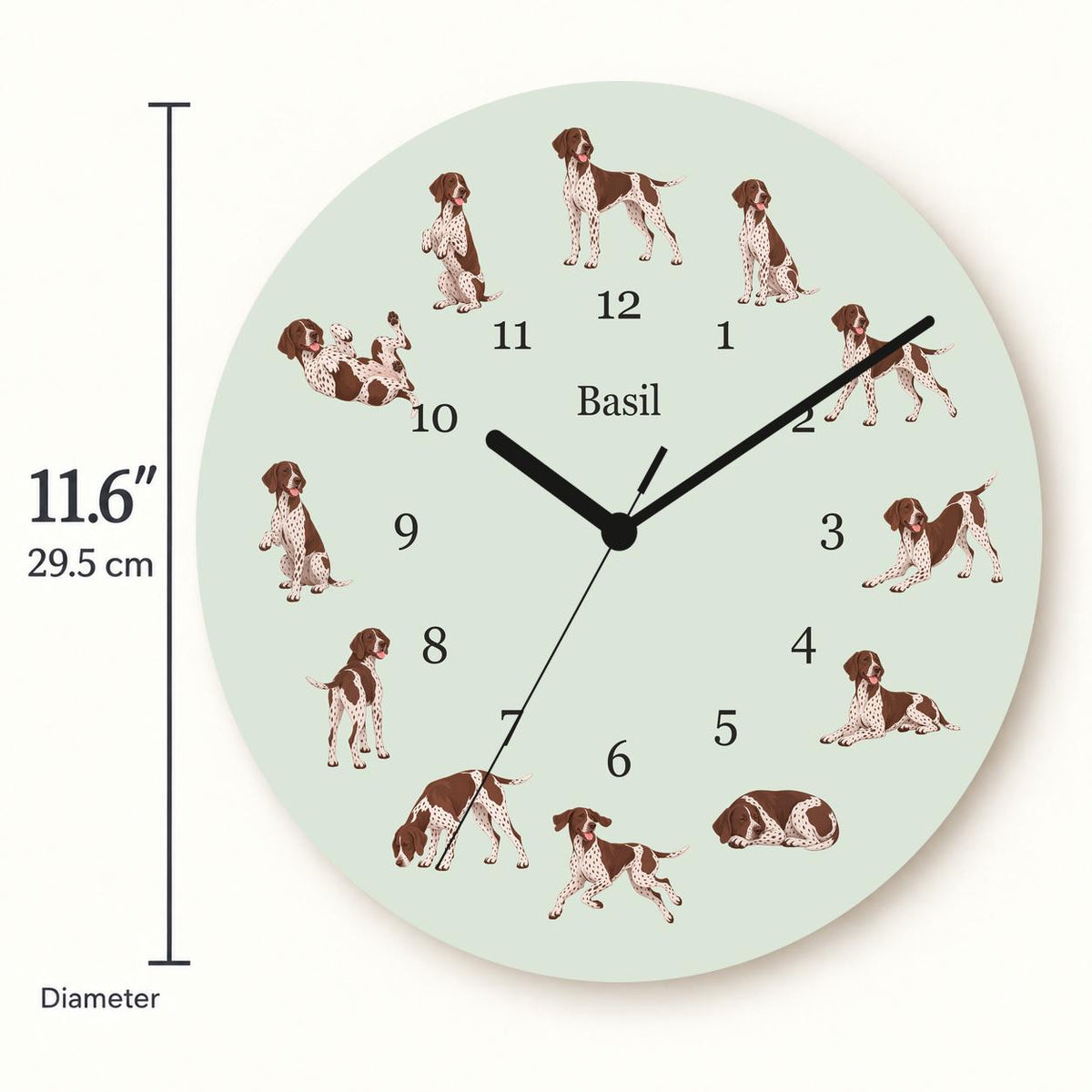 Personalized German Shorthaired Pointer wooden wall clock with example name Basil; size