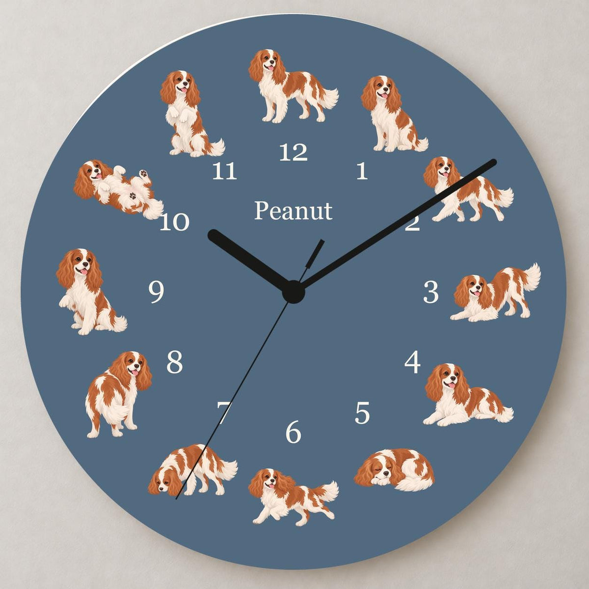 Personalized Cavalier King Charles Spaniel wooden wall clock with example name Peanut; close up