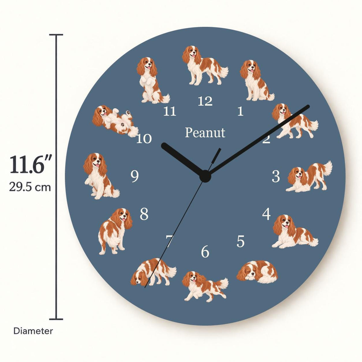 Personalized Cavalier King Charles Spaniel wooden wall clock with example name Peanut; size