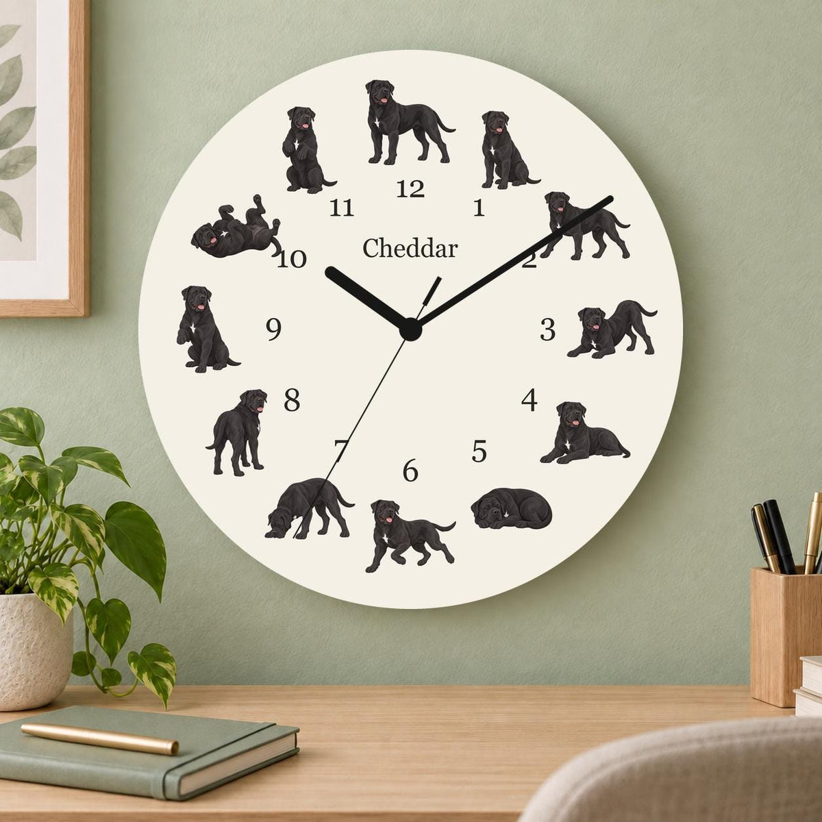 Personalized Cane Corso wooden wall clock with example name Cheddar; home office