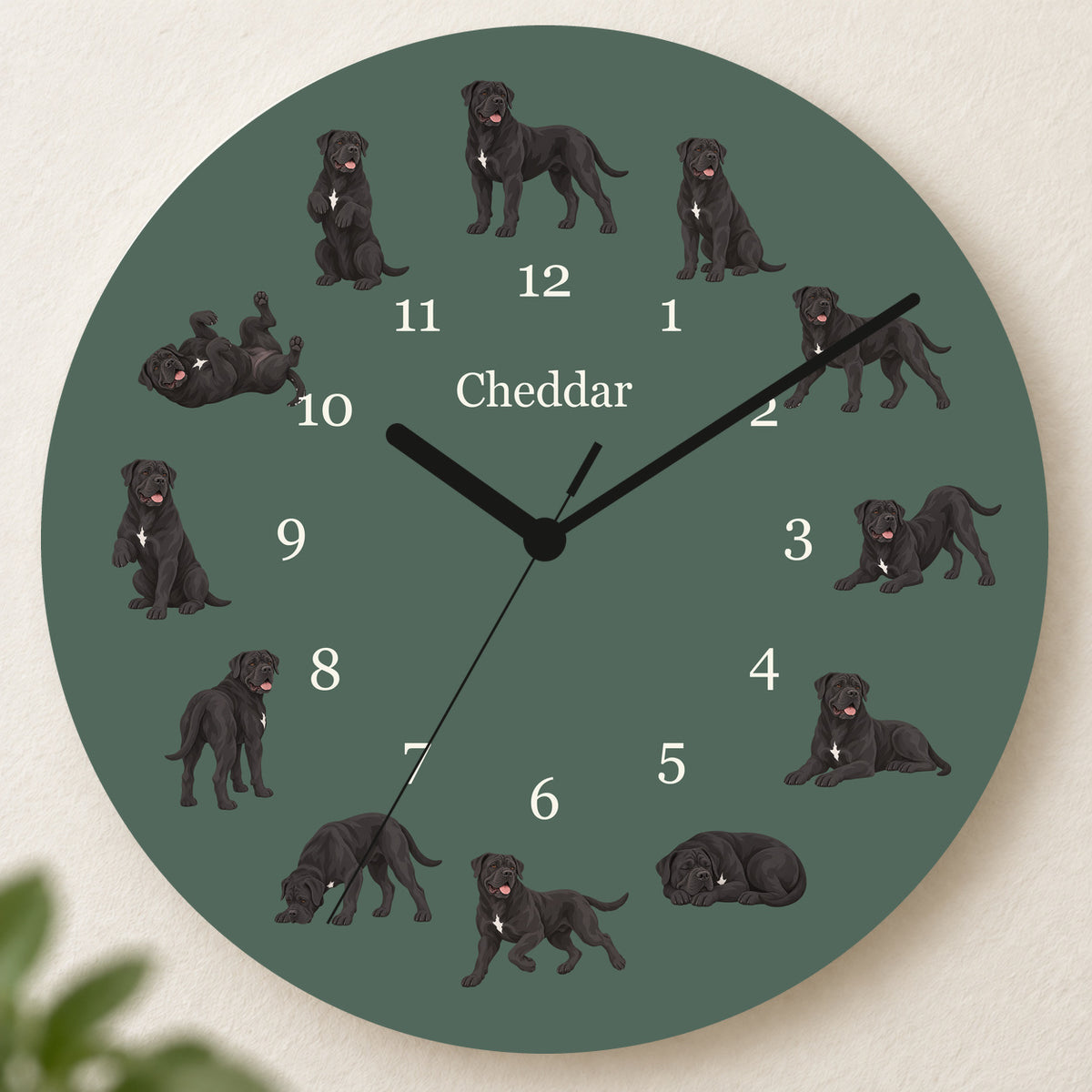 Personalized Cane Corso Wall Clock, Custom Pet Name, 11.6 Inch Wooden Clock — Deep Sage background