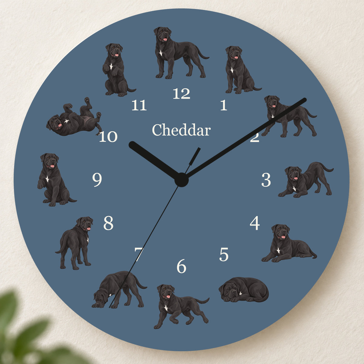 Personalized Cane Corso Wall Clock, Custom Pet Name, 11.6 Inch Wooden Clock — Muted Denim background