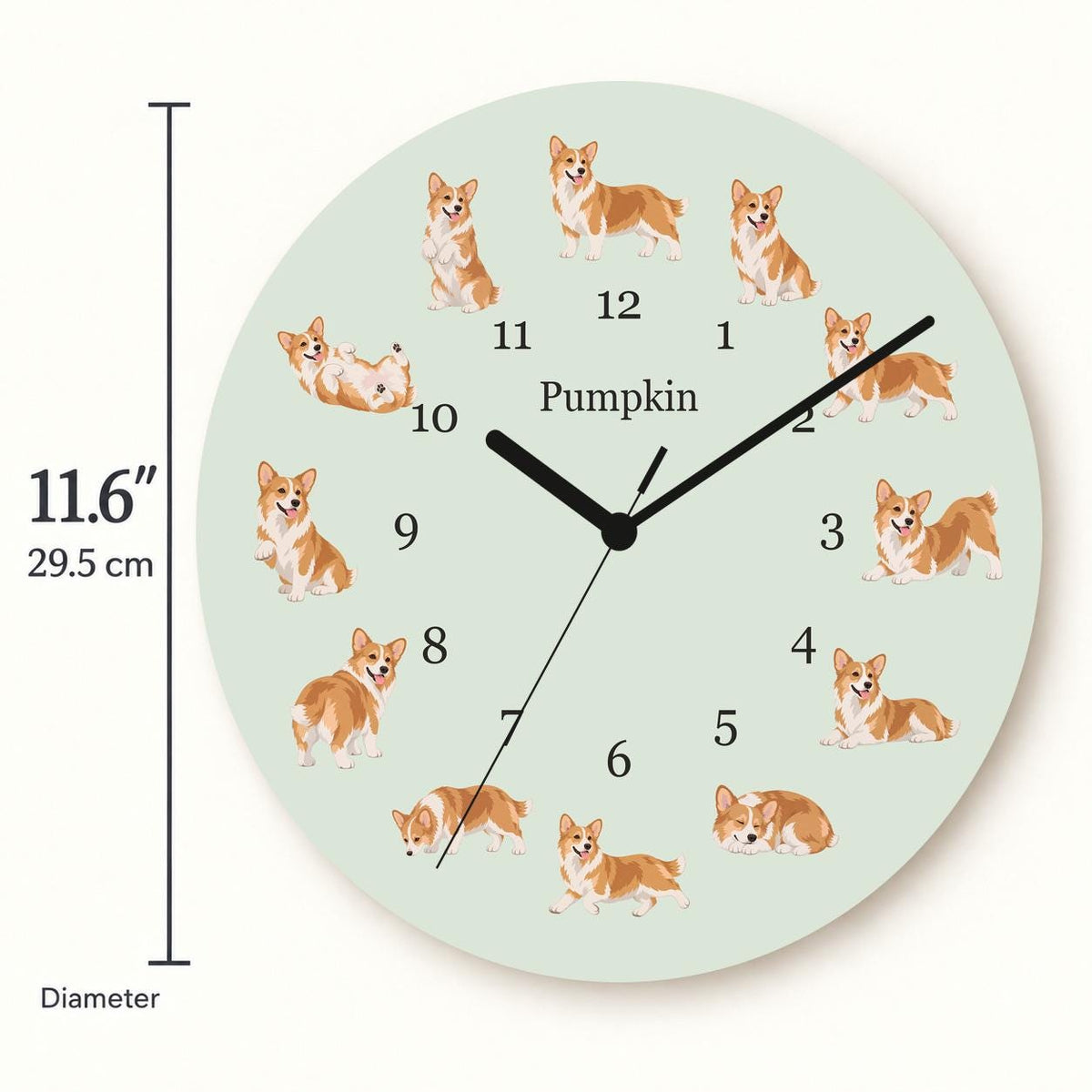 Personalized Pembroke Welsh Corgi wooden wall clock with example name Pumpkin; size