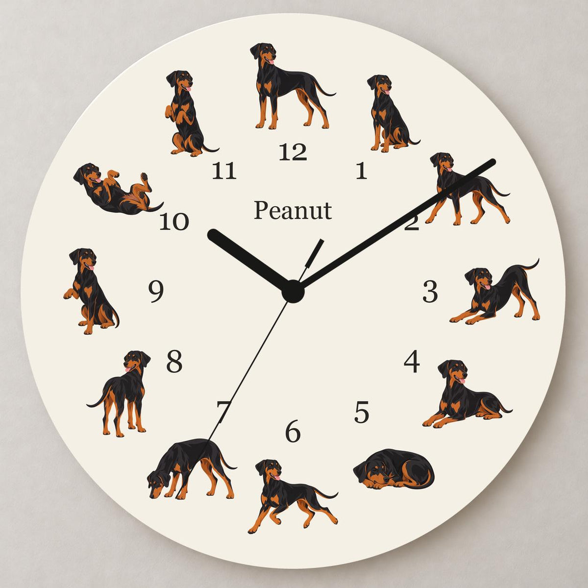 Personalized Doberman Pinscher wooden wall clock with example name Peanut; close up