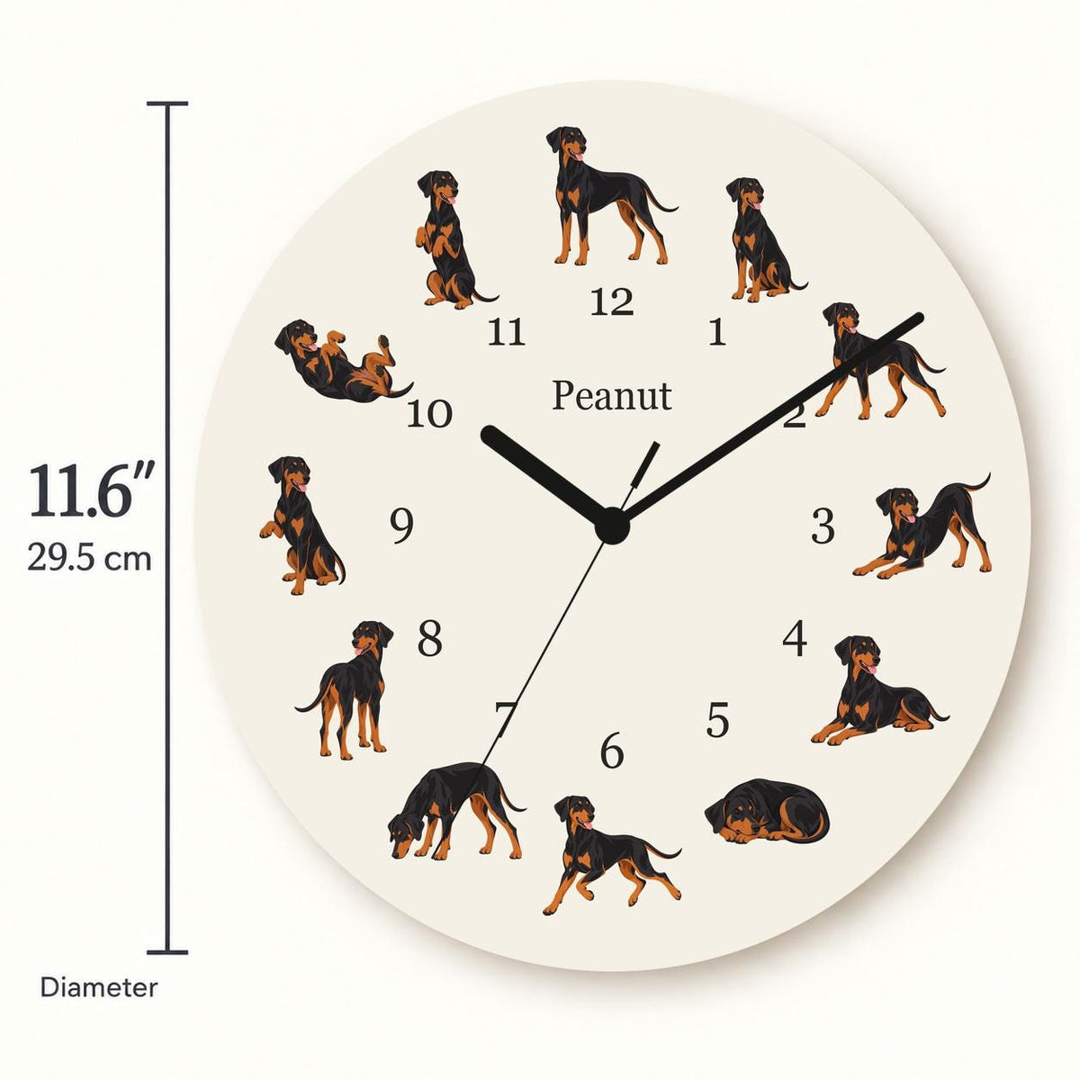 Personalized Doberman Pinscher wooden wall clock with example name Peanut; size