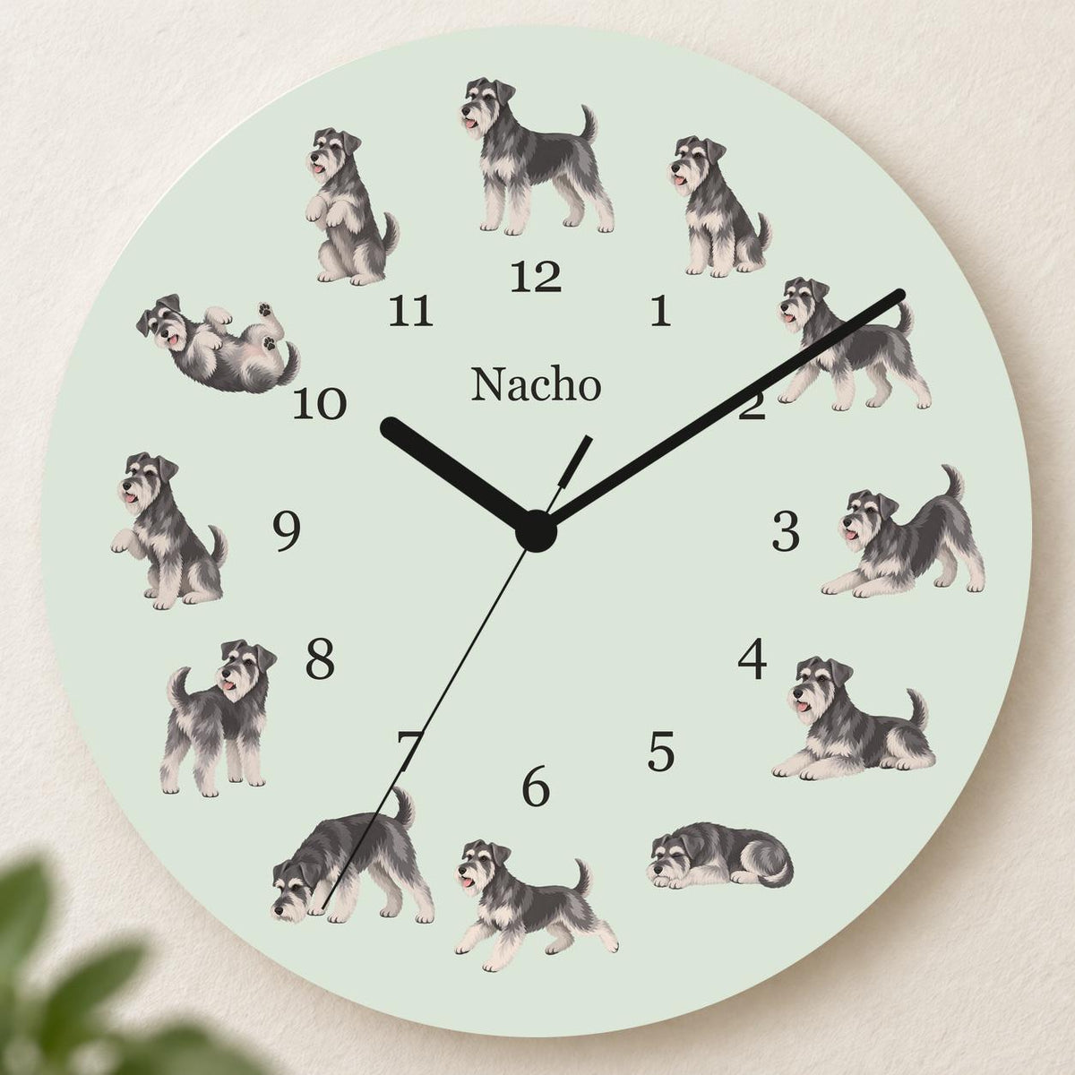 Personalized Miniature Schnauzer wooden wall clock with example name Nacho; hero