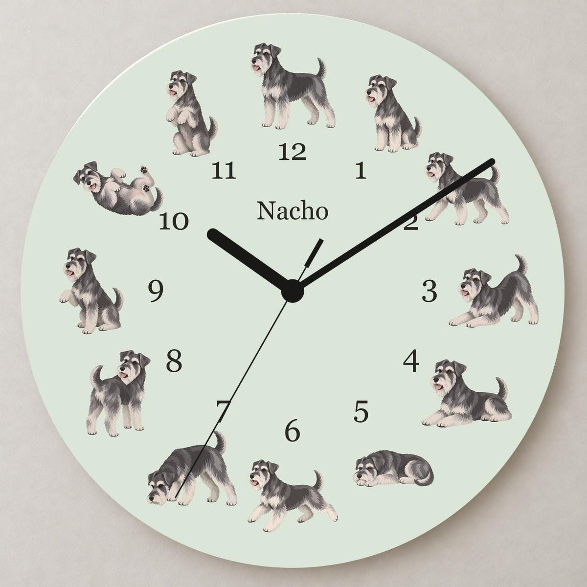 Personalized Miniature Schnauzer wooden wall clock with example name Nacho; close up