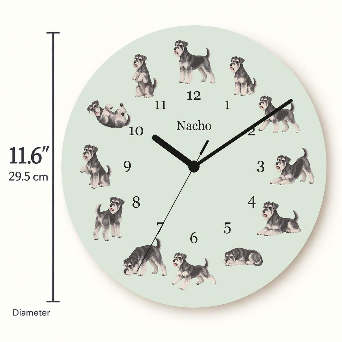 Personalized Miniature Schnauzer wooden wall clock with example name Nacho; size
