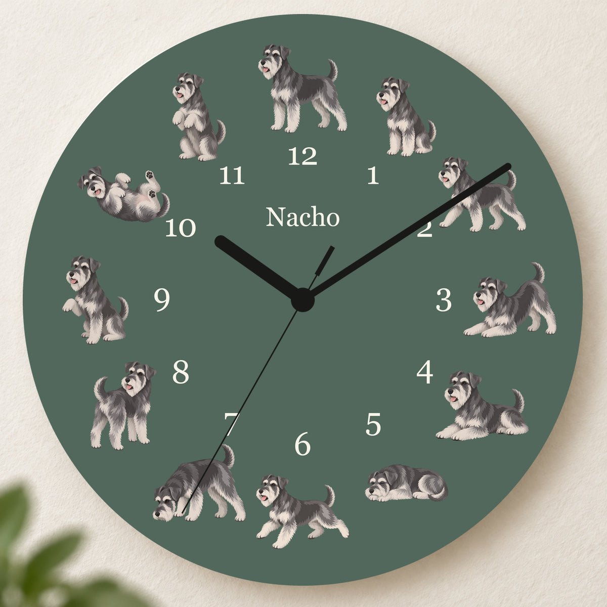 Personalized Miniature Schnauzer Wall Clock, Custom Pet Name, 11.6 Inch Wooden Clock — Deep Sage background