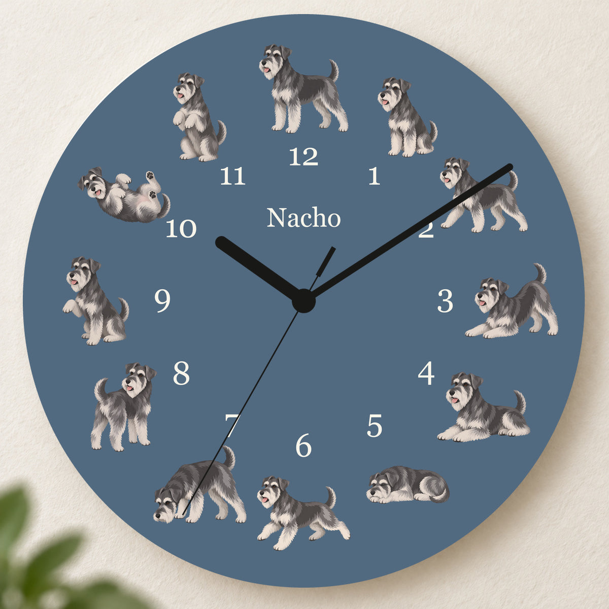 Personalized Miniature Schnauzer Wall Clock, Custom Pet Name, 11.6 Inch Wooden Clock — Muted Denim background