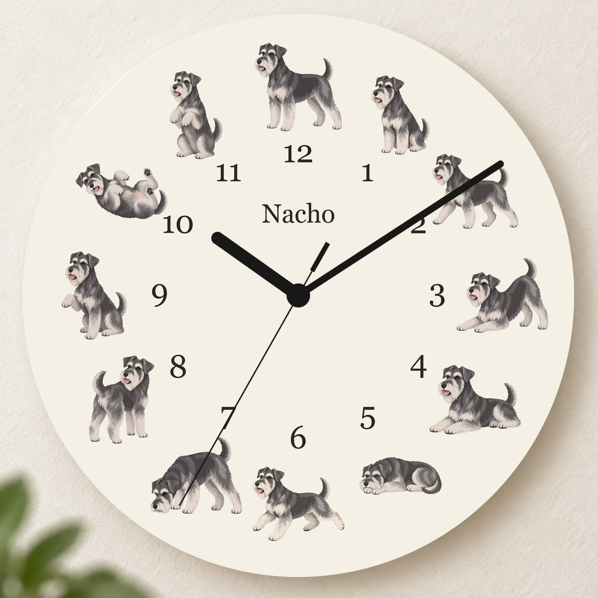 Personalized Miniature Schnauzer Wall Clock, Custom Pet Name, 11.6 Inch Wooden Clock — Warm Ivory background