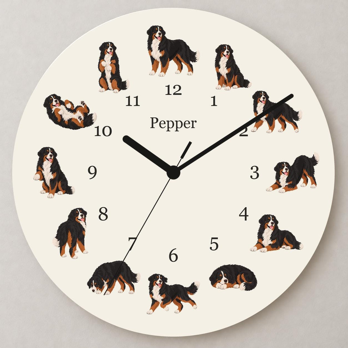 Personalized Bernese Mountain Dog wooden wall clock with example name Pepper; close up