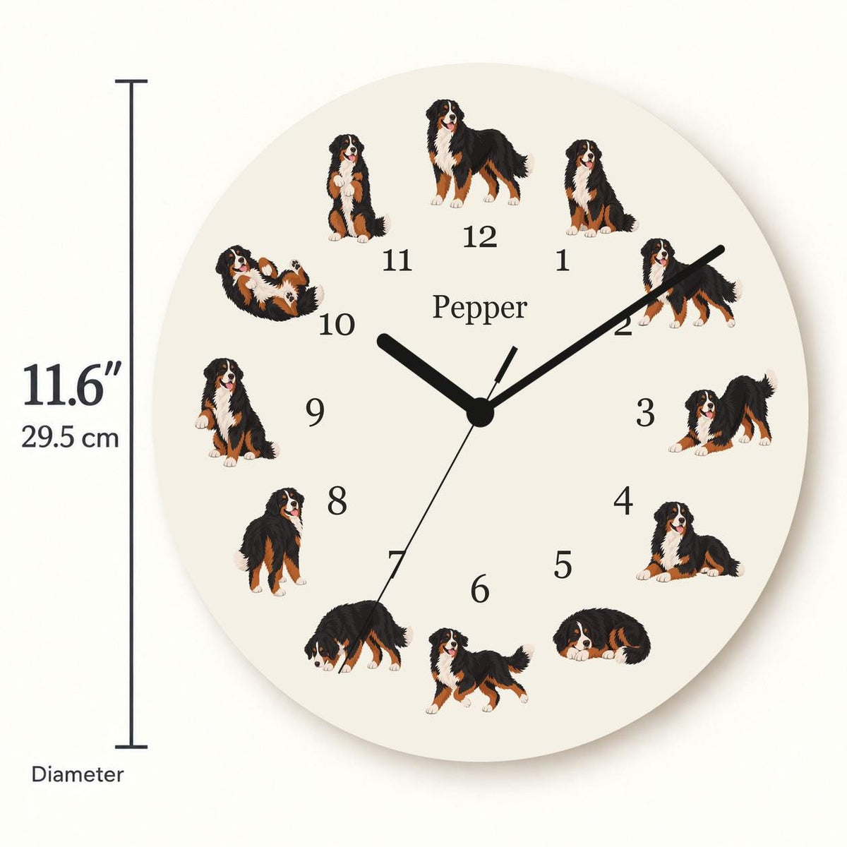 Personalized Bernese Mountain Dog wooden wall clock with example name Pepper; size