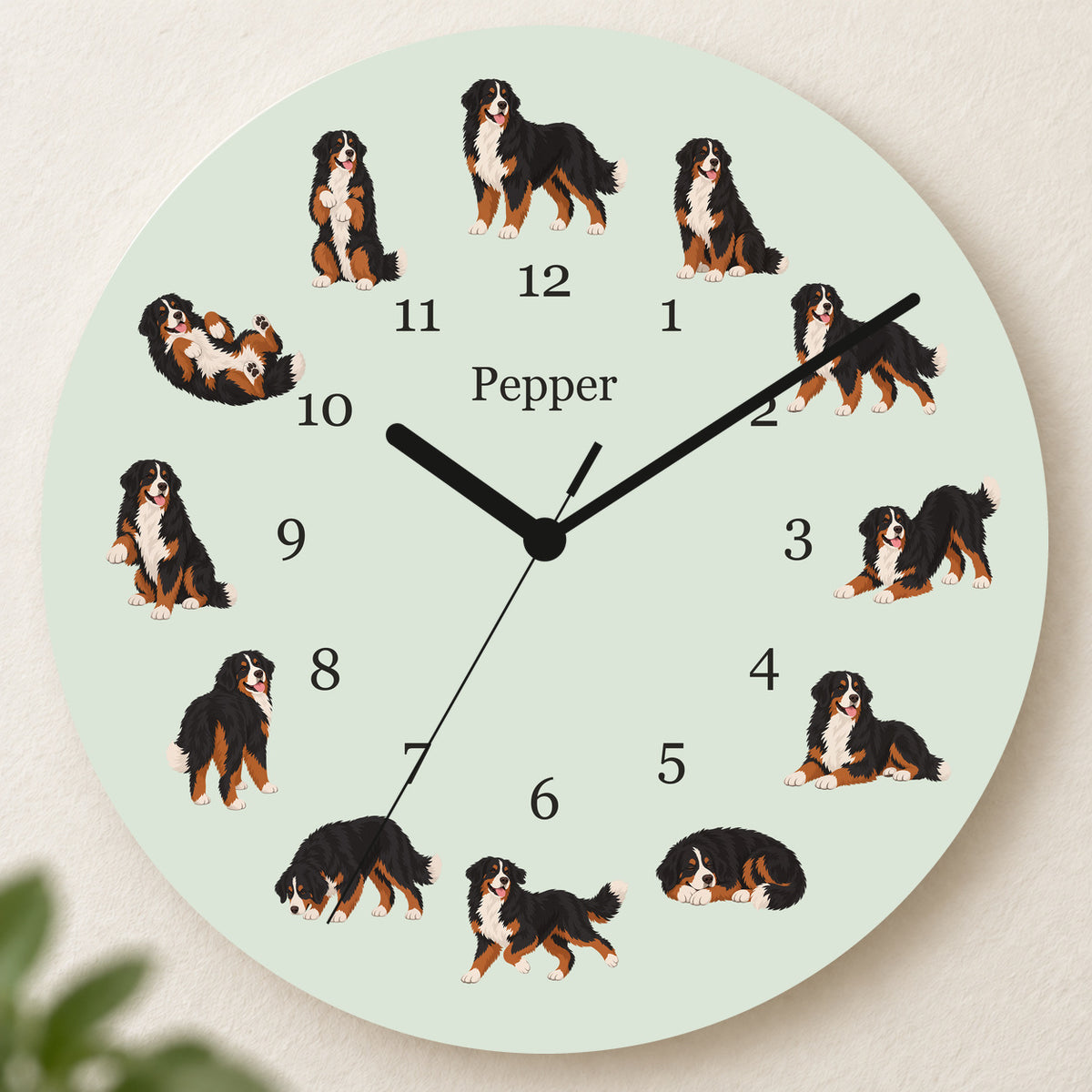 Personalized Bernese Mountain Dog Wall Clock, Custom Pet Name, 11.6 Inch Wooden Clock — Pale Sage background