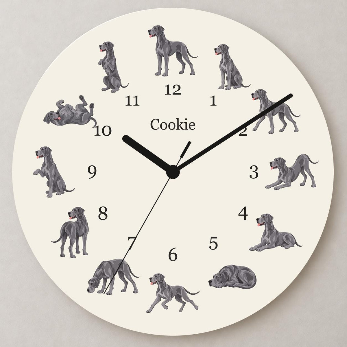 Personalized Great Dane wooden wall clock with example name Cookie; close up