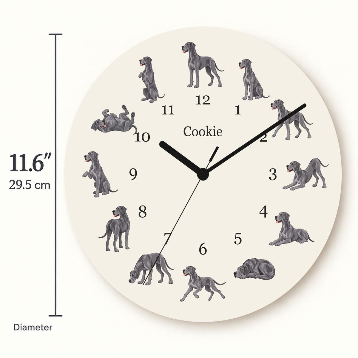 Personalized Great Dane wooden wall clock with example name Cookie; size