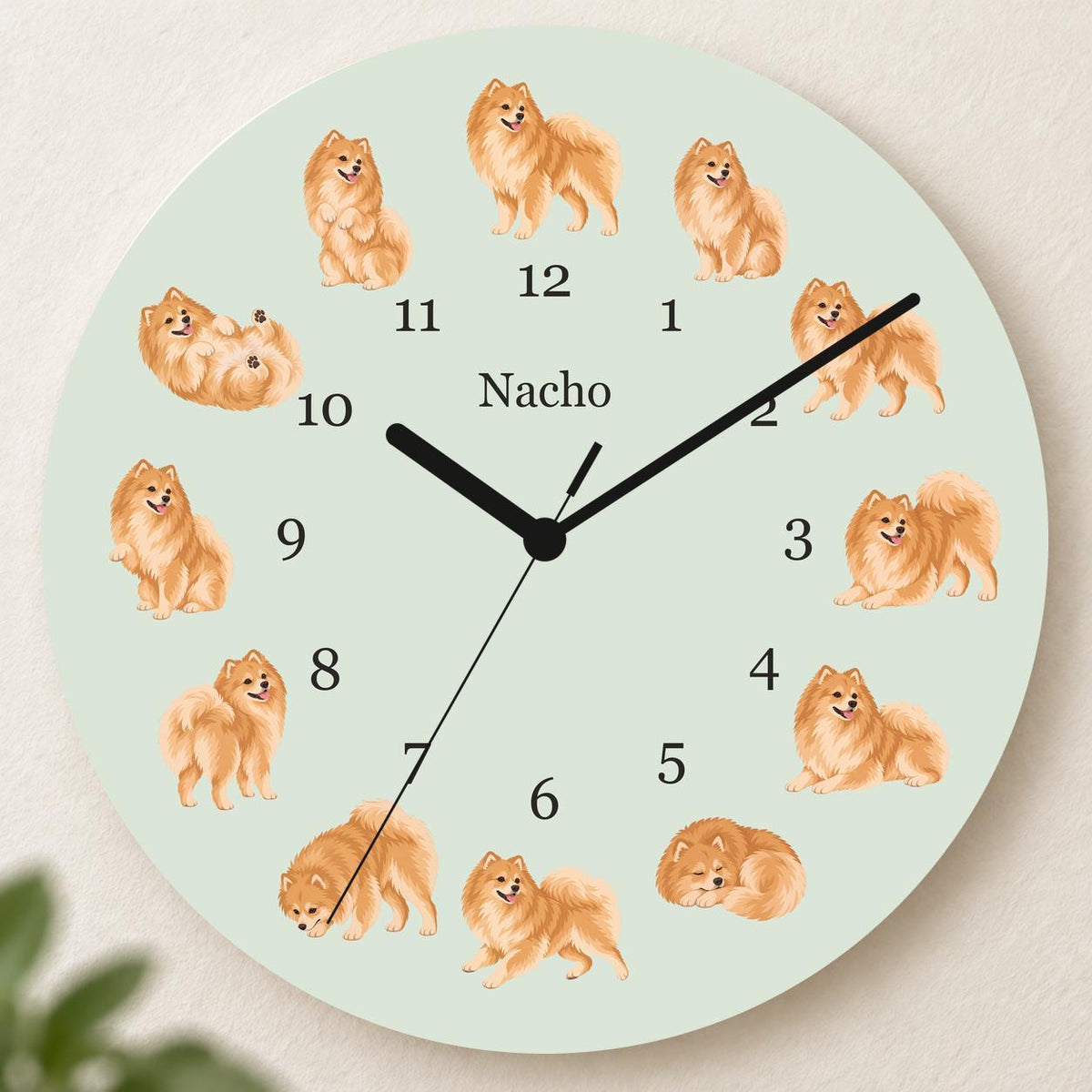 Personalized Pomeranian wooden wall clock with example name Nacho; hero