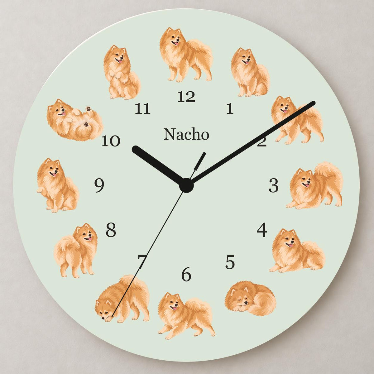 Personalized Pomeranian wooden wall clock with example name Nacho; close up