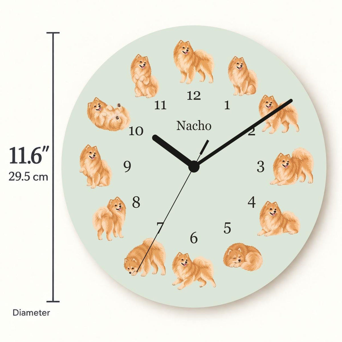 Personalized Pomeranian wooden wall clock with example name Nacho; size