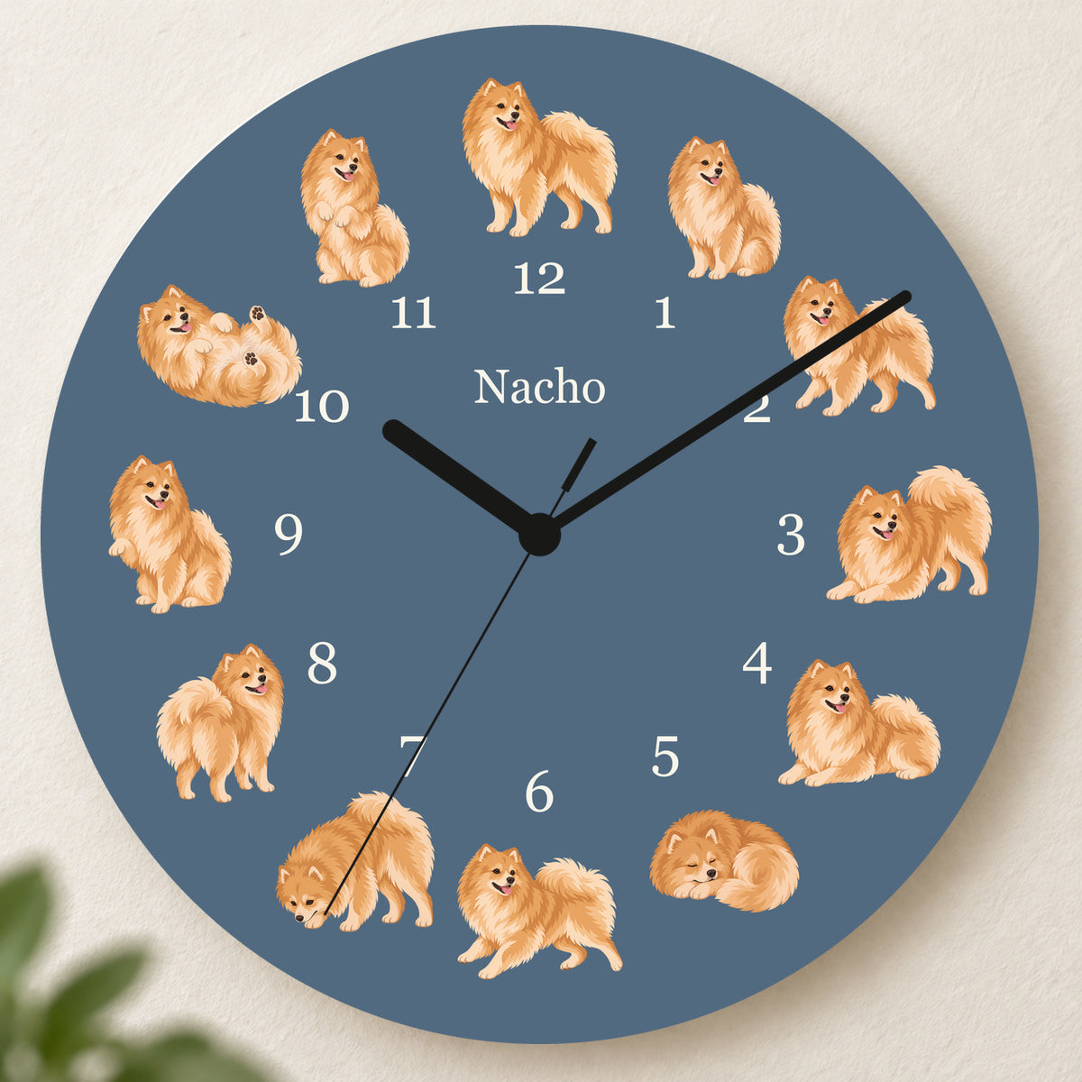 Personalized Pomeranian Wall Clock, Custom Pet Name, 11.6 Inch Wooden Clock — Muted Denim background
