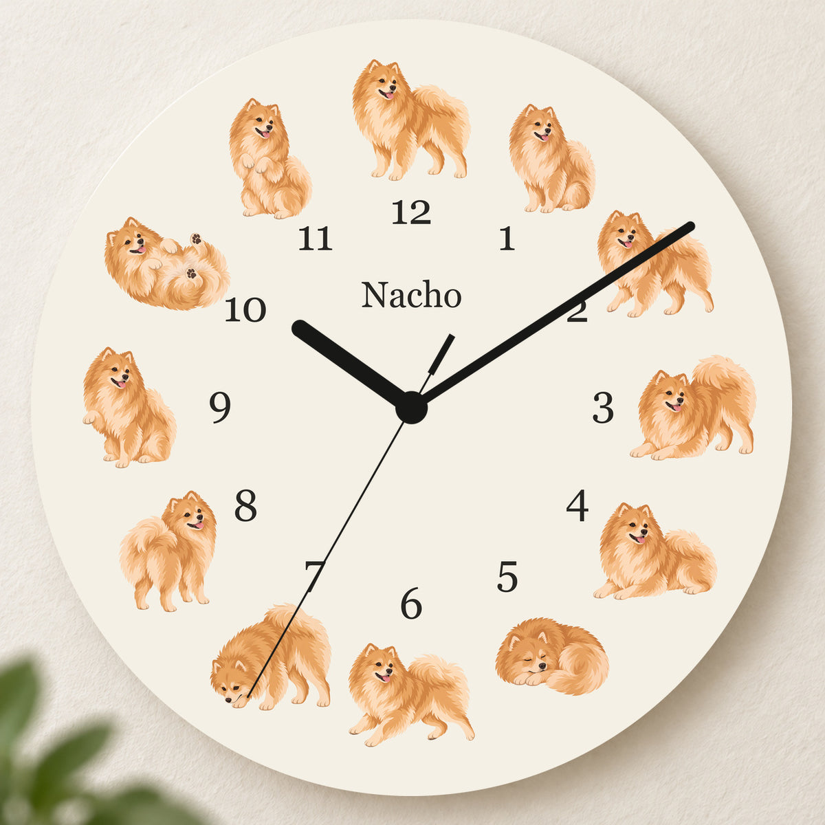 Personalized Pomeranian Wall Clock, Custom Pet Name, 11.6 Inch Wooden Clock — Warm Ivory background