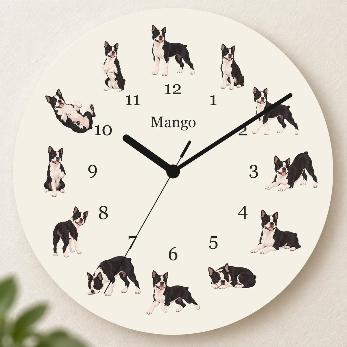 Personalized Boston Terrier wooden wall clock with example name Mango; hero