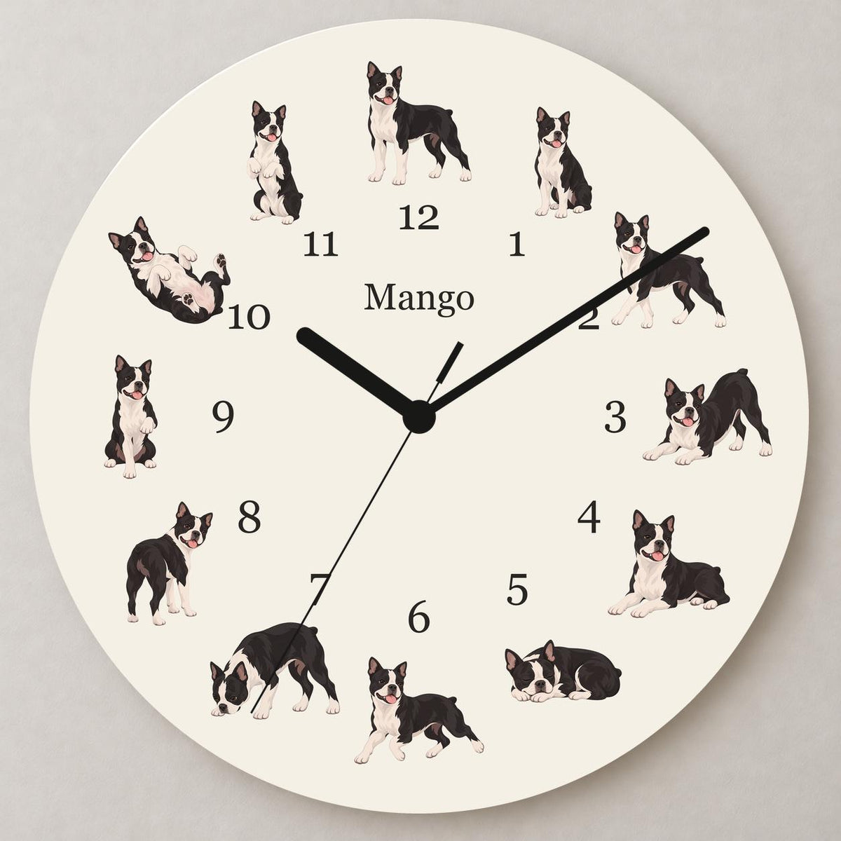Personalized Boston Terrier wooden wall clock with example name Mango; close up