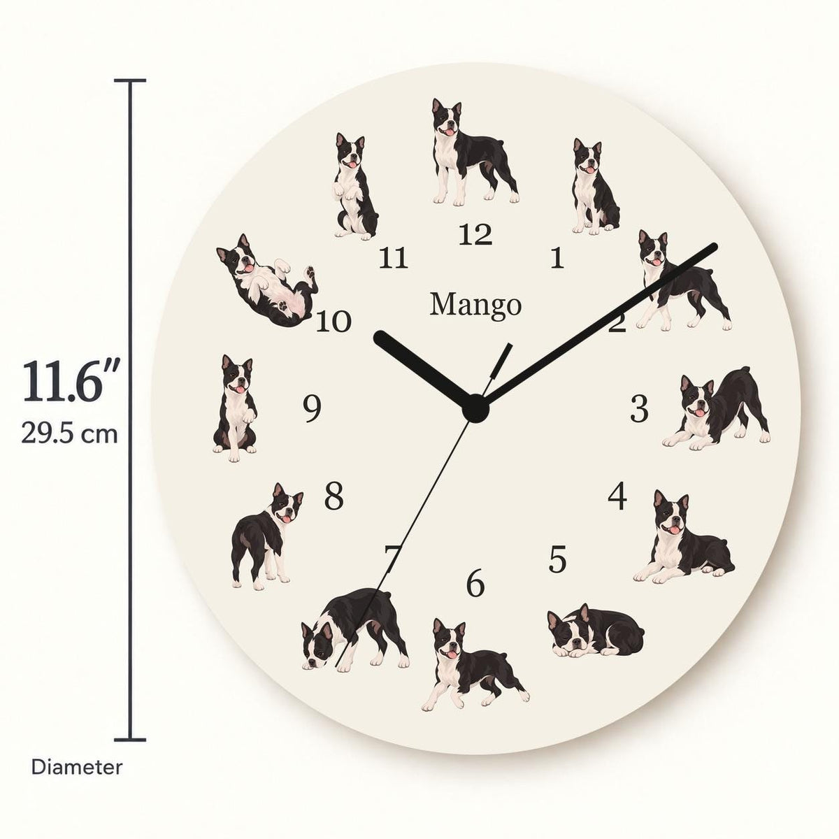Personalized Boston Terrier wooden wall clock with example name Mango; size