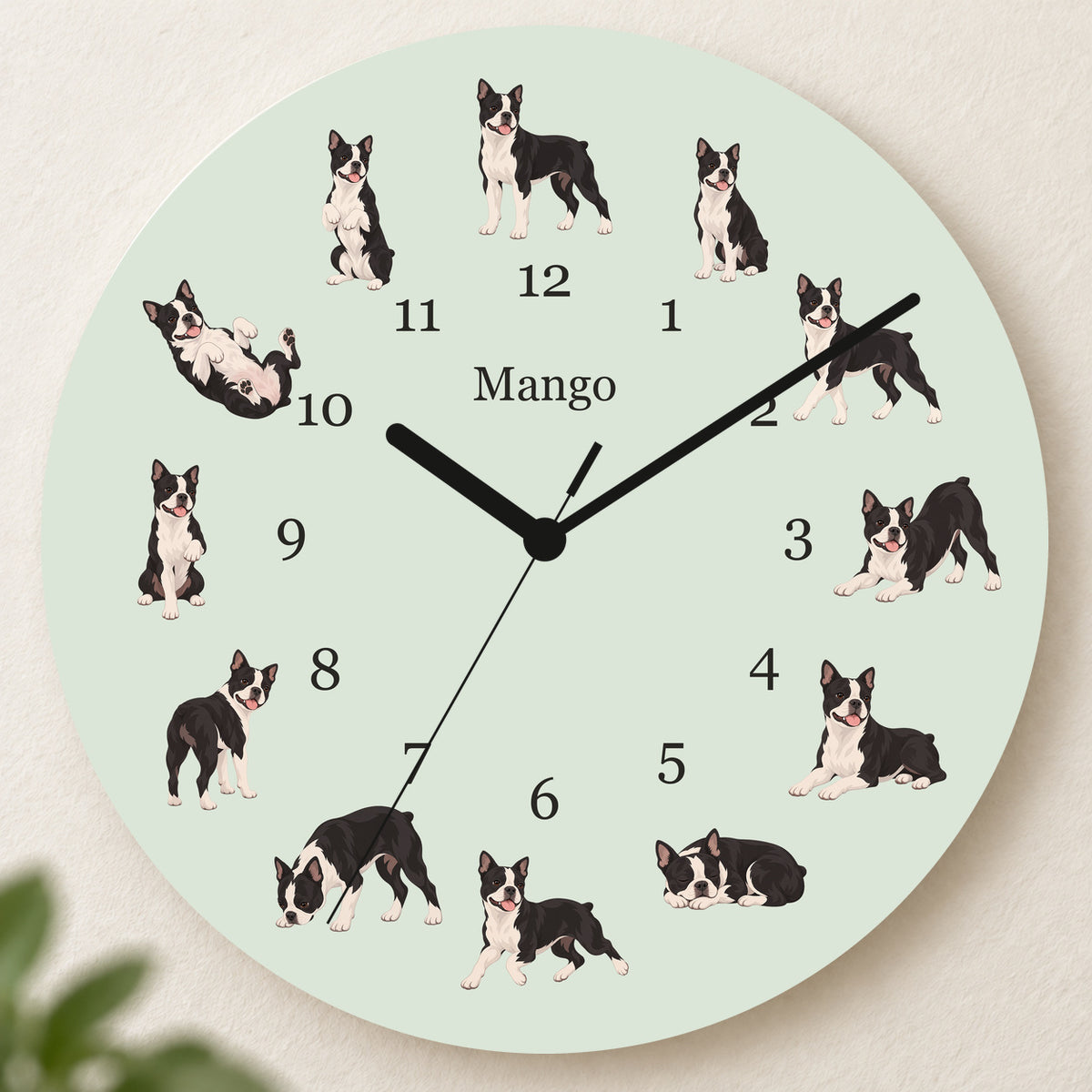Personalized Boston Terrier Wall Clock, Custom Pet Name, 11.6 Inch Wooden Clock — Pale Sage background