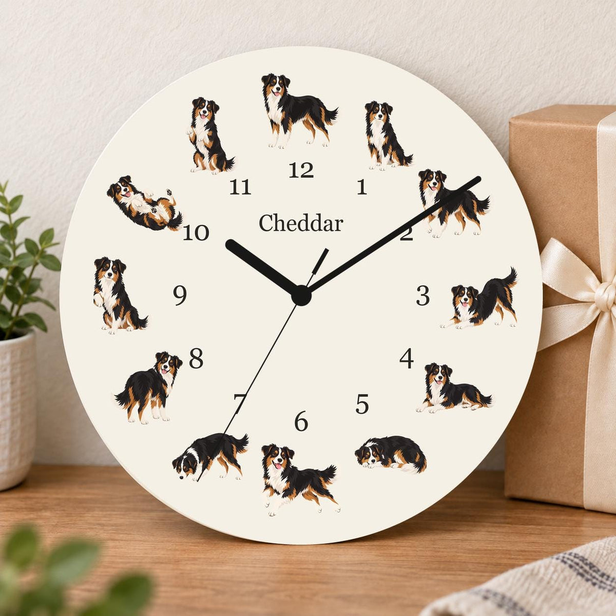 Personalized Miniature American Shepherd wooden wall clock with example name Cheddar; gift